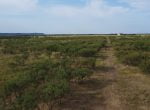 39 acres in Taylor County