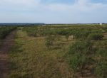 39 acres in Taylor County