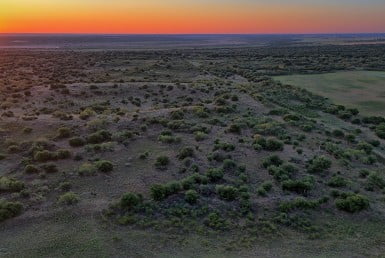 247 acres in Hardeman County