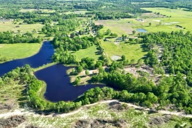 42 acres in Camp County