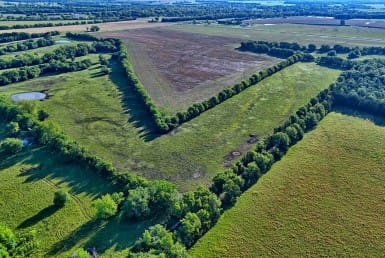 522 acres in Lamar County