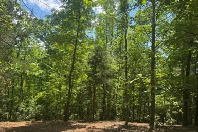 53 acres in Cass County