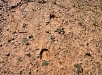 67 acres in Parker County