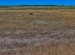 48 acres in Young County