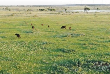 2,401 acres in Archer County